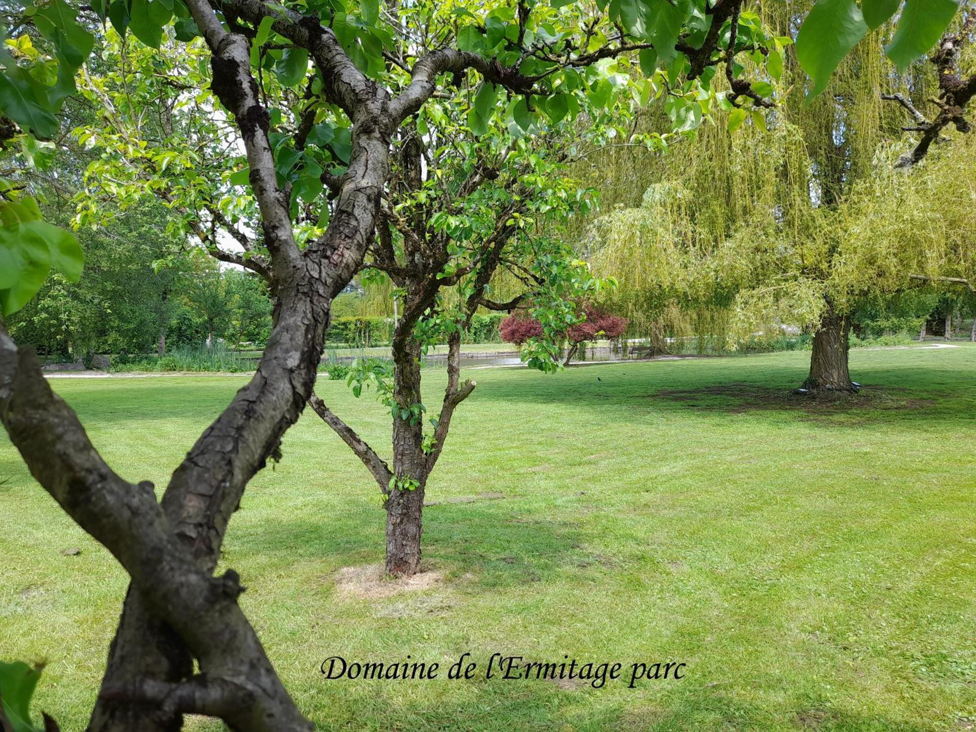Domaine De L'Ermitage Villa Rue  Luaran gambar